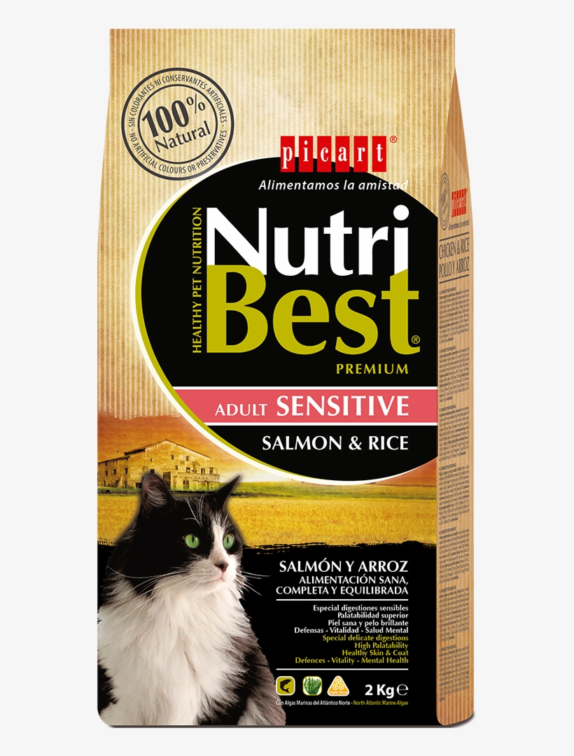 Comida Natural Para Gatos, transparent png #7392658