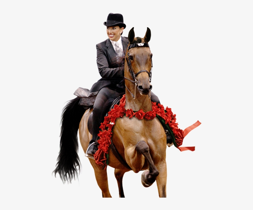 Jim Lowe, transparent png #7394307