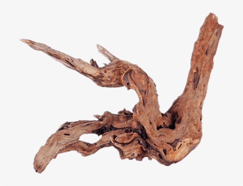 Driftwood, transparent png #7395079