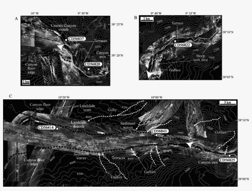 Tobi Side-scan Sonar Images And Superimposed Bathymetry, transparent png #7397589