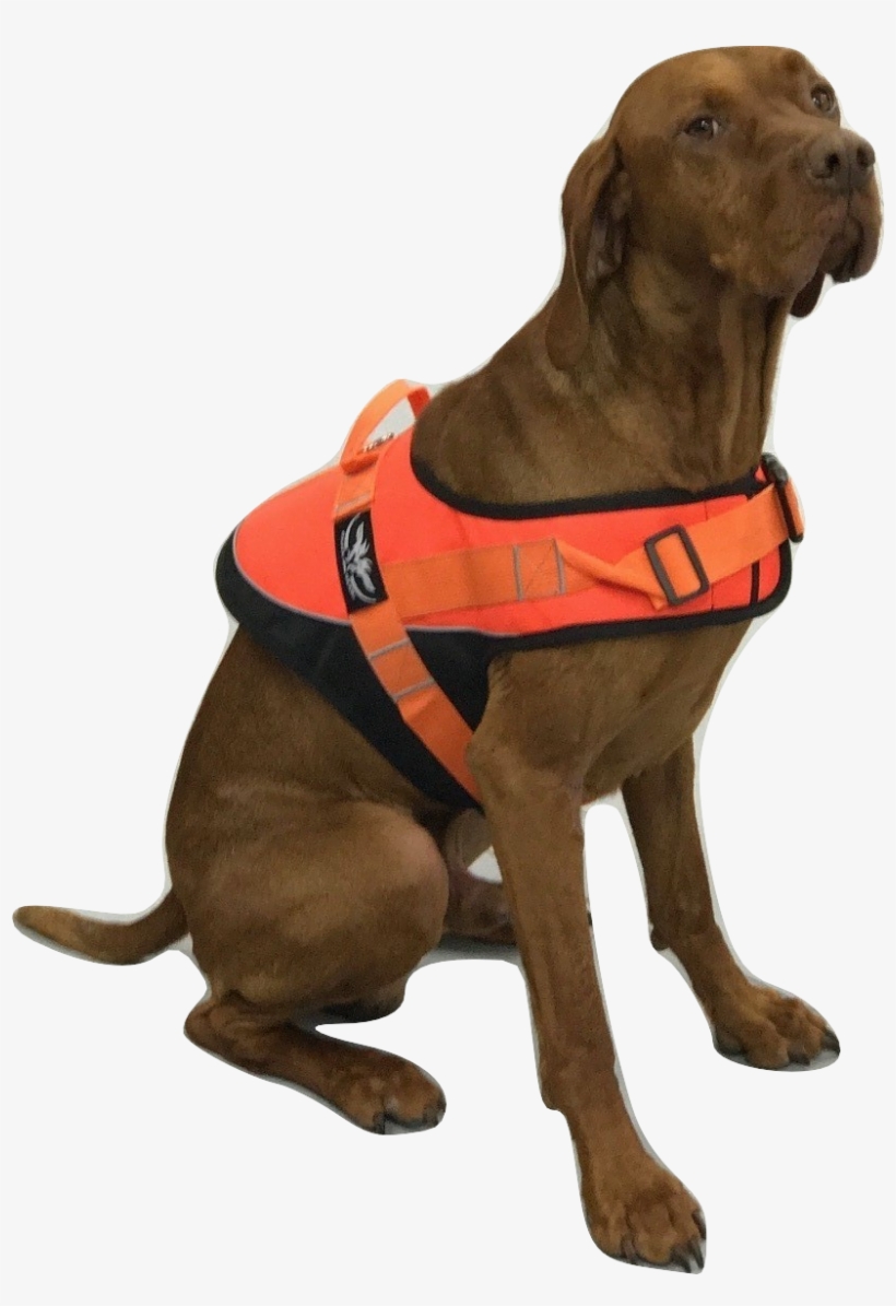 Dog Safety Vest, transparent png #7397730