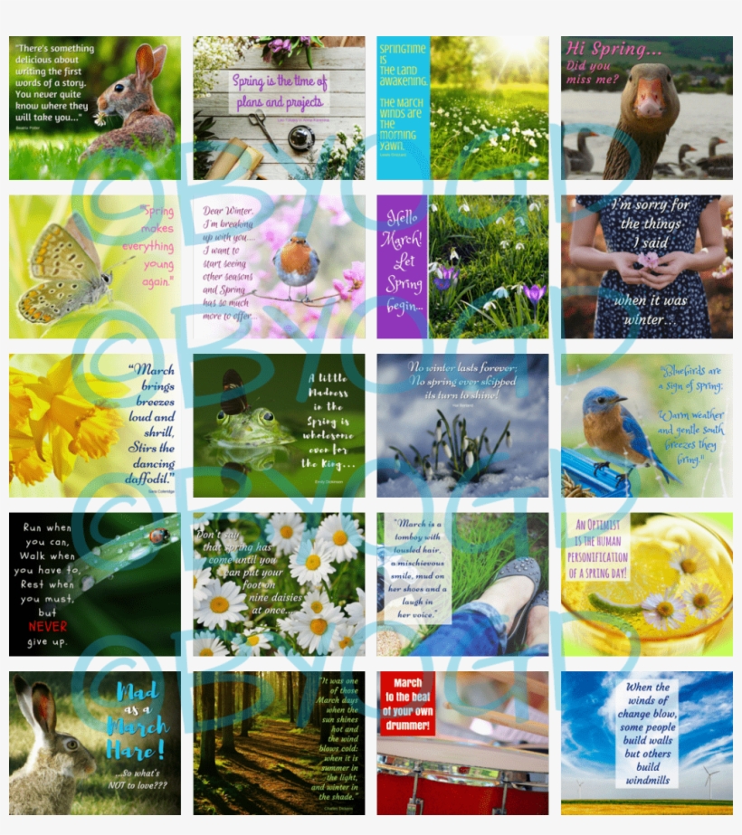 20 Ready-made January Social Media Quotes, transparent png #7397781