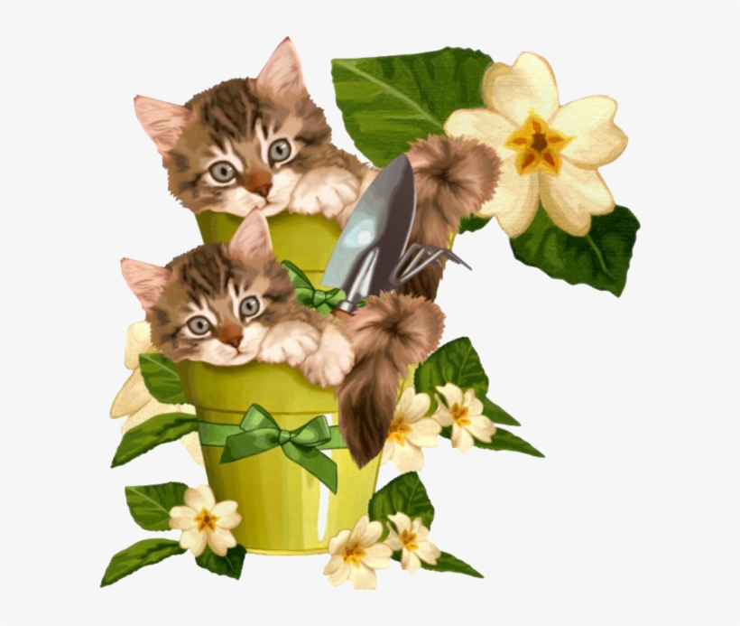 Gato Png, transparent png #7398055