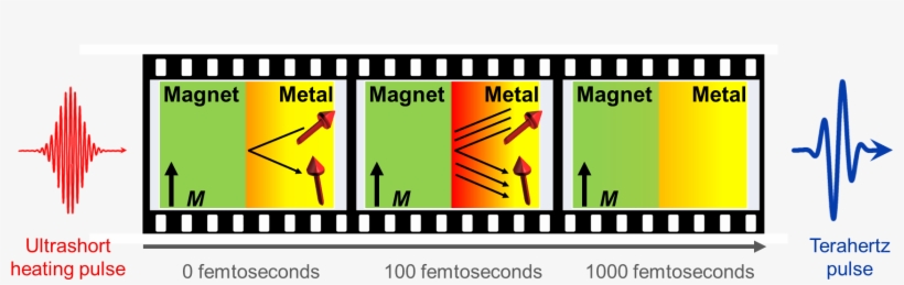 Watching The Ultrafast Spin Seebeck Effect, transparent png #7398432