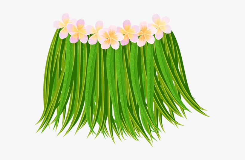 Hawaiian Skirt Clip Art Png Transparent Image - Transparent Background Grass Skirt Clipart, transparent png #740008