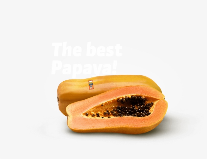 Contact Us - Papaya, transparent png #740327