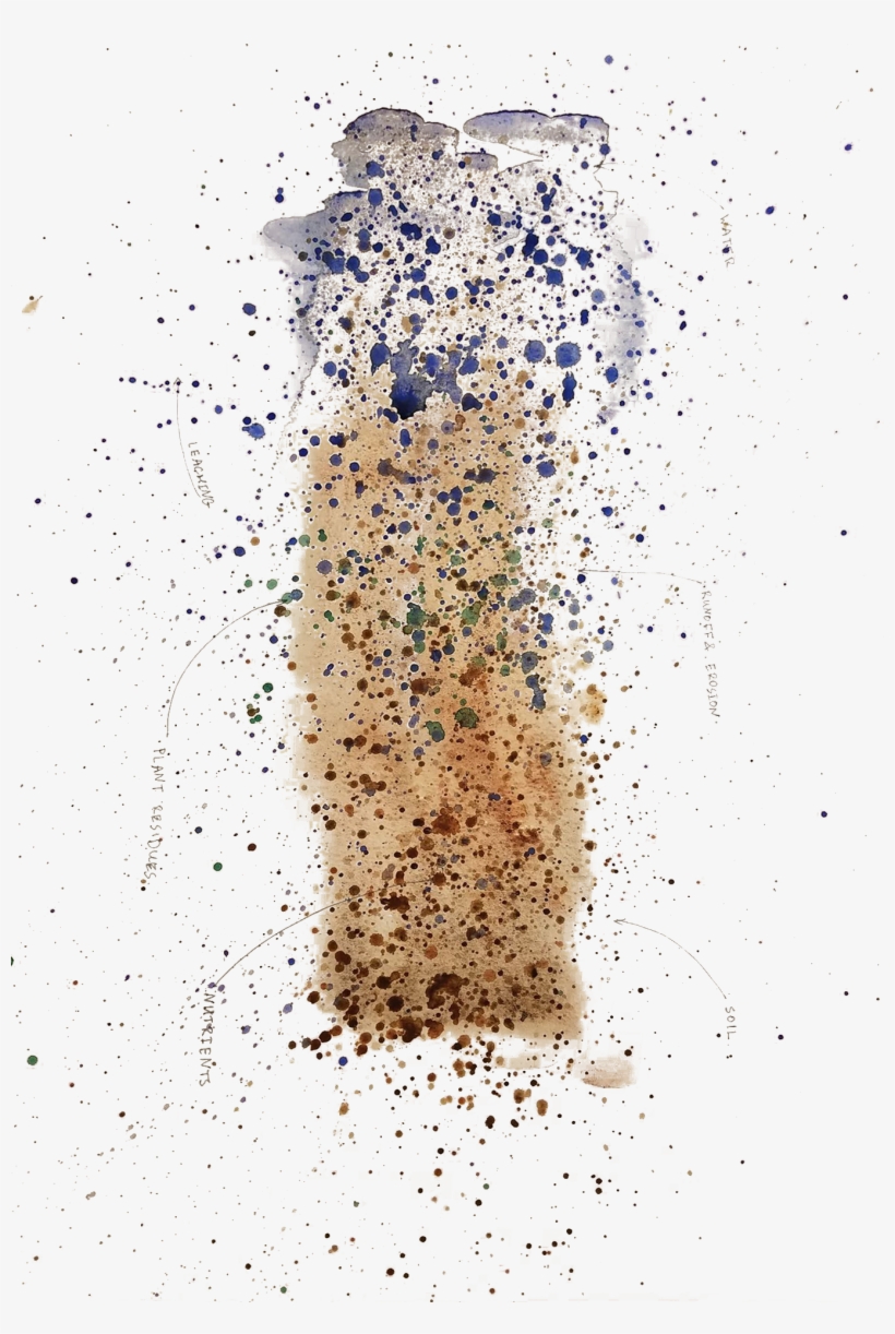 Field Notes Study - Sketch, transparent png #740877