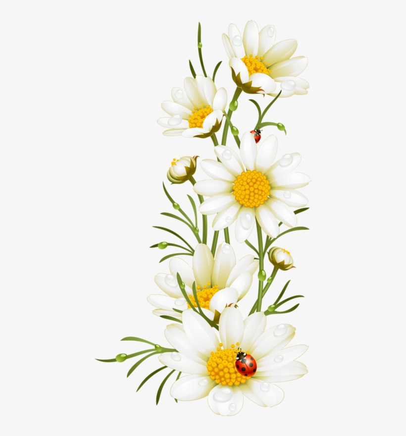 Kw - Illustyration Poppy, transparent png #740925