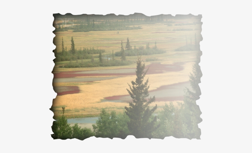 Plains You Would Find These Kind Of Landforms Are Flat - Saif Ali Khan Production House, transparent png #741070