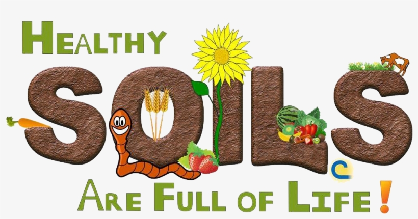 Healthy Soils Are Full Of Life Is The Stewardship Theme - World Soil Day 2017 Theme, transparent png #741094