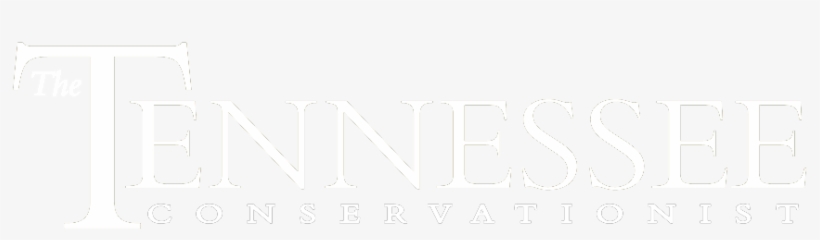Connecting You With Tennessee's Environment, Culture, - Next, transparent png #741140