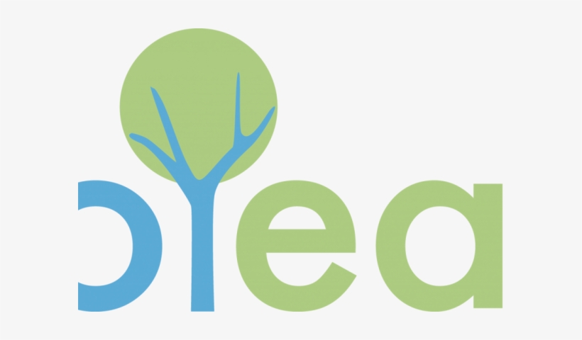 In Support Cool Earth Colour - Cool Earth Logo Png, transparent png #741191