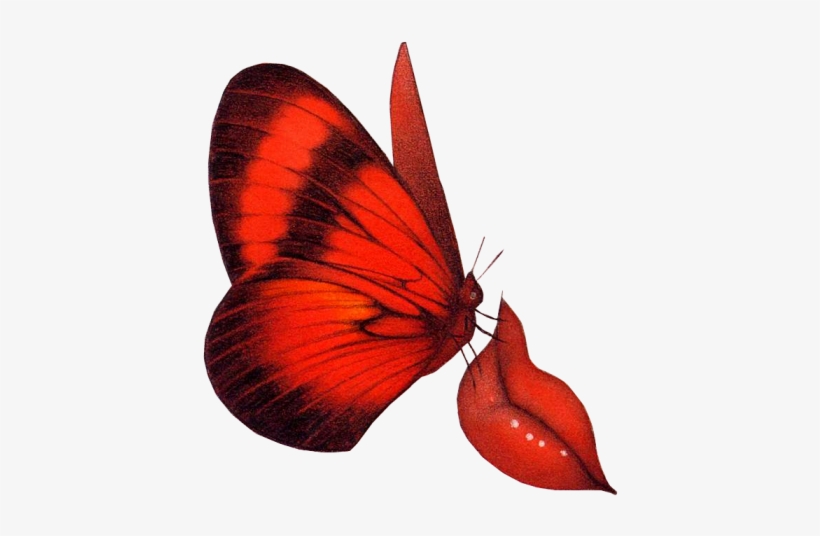 Clipart Butterflies - Red Butterfly Animation, transparent png #741552