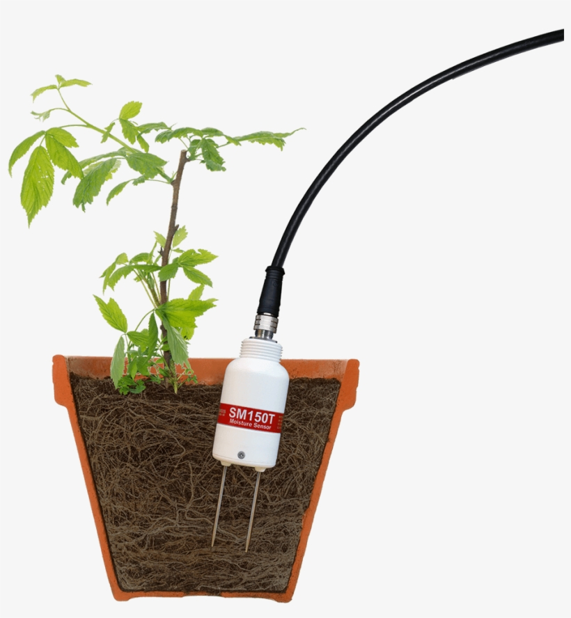 Sm150t Soil Moisture Sensor Sm150t Soil Moisture Sensor - All Soil Sensor, transparent png #741668