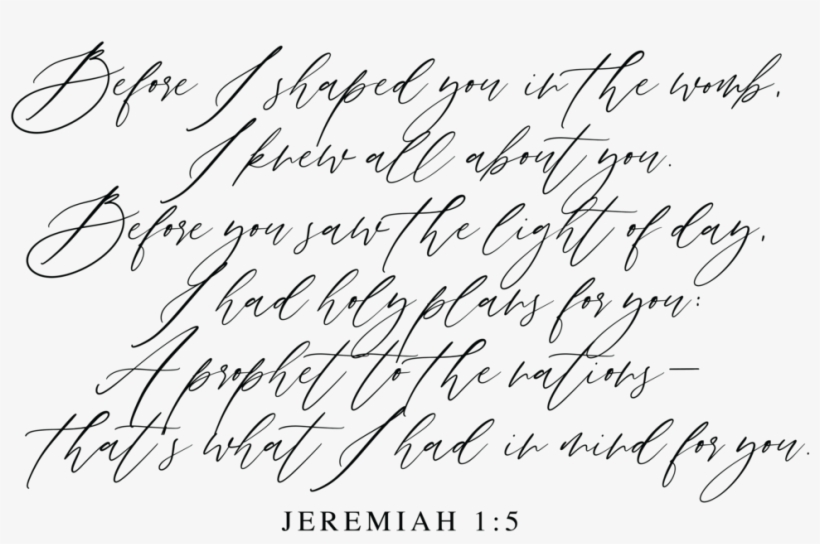 This Past Weekend My Sister Courtney And Her Mother - Infant, transparent png #742069