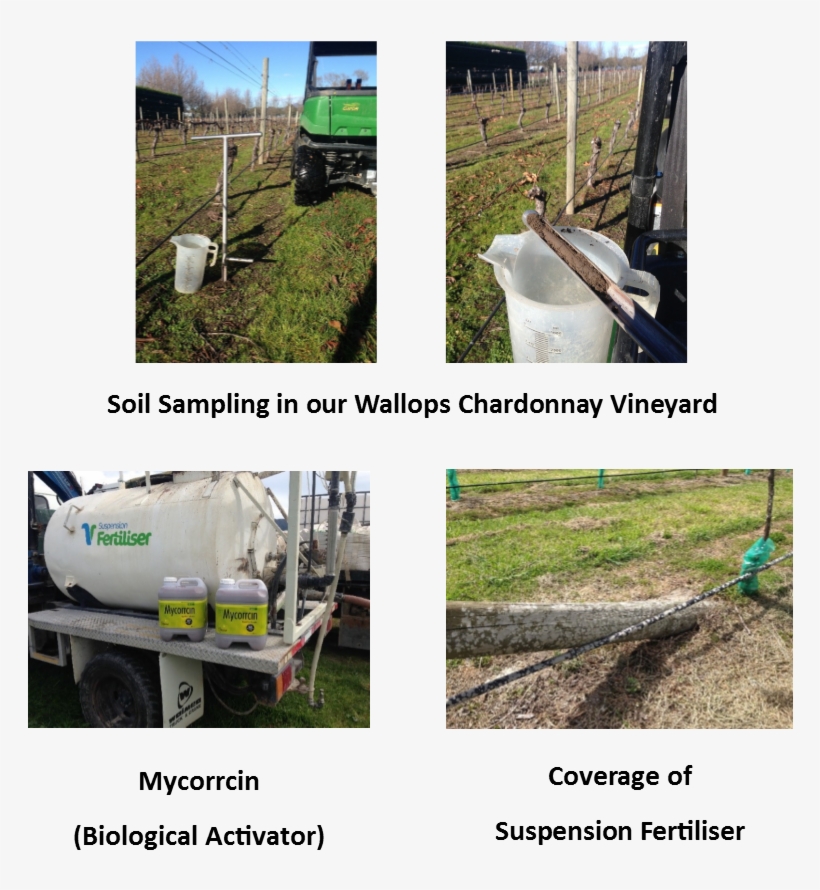 Soil Sampling - Field, transparent png #742487