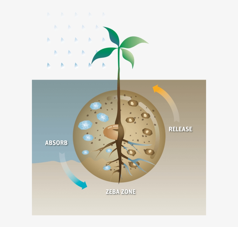 About Us Photo - Zeba Upl, transparent png #742553