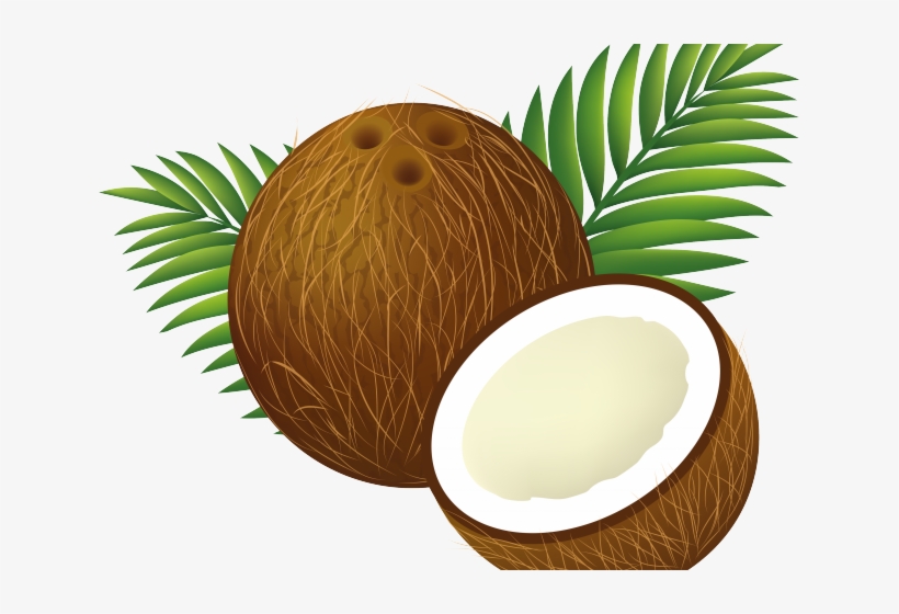Coconut Clipart Luau - Coconut Clipart, transparent png #743432