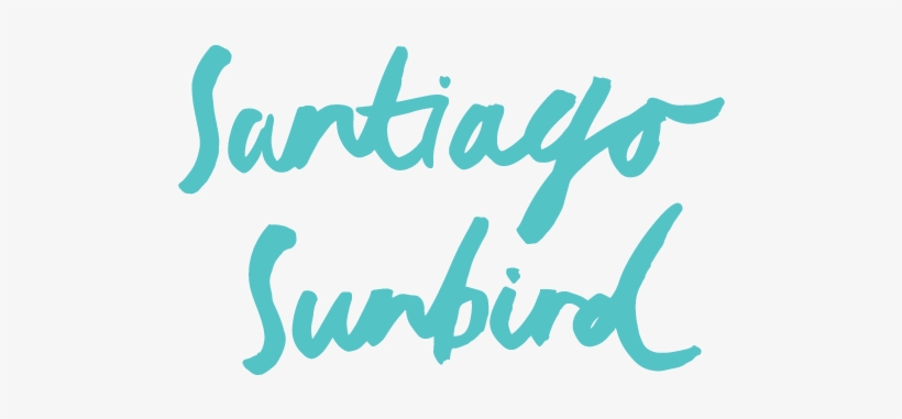 Santiago Sunbird - Watercolor Painting, transparent png #744054