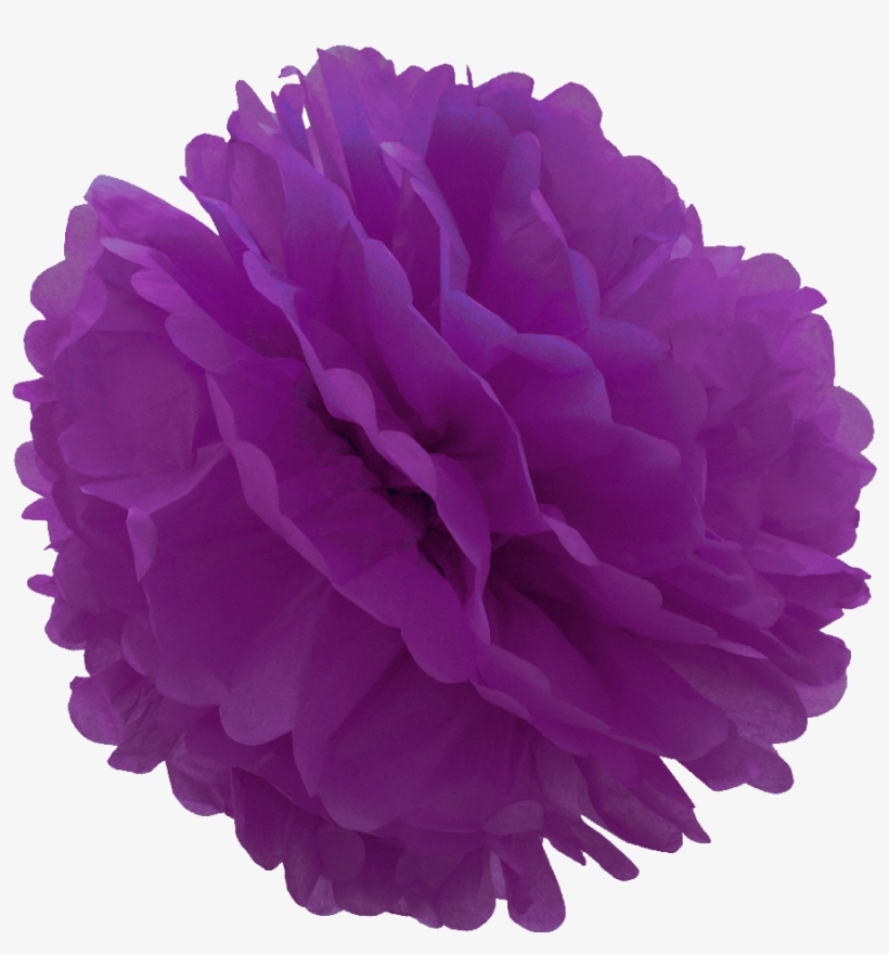 Violet Tissue Pom Pom, transparent png #745034