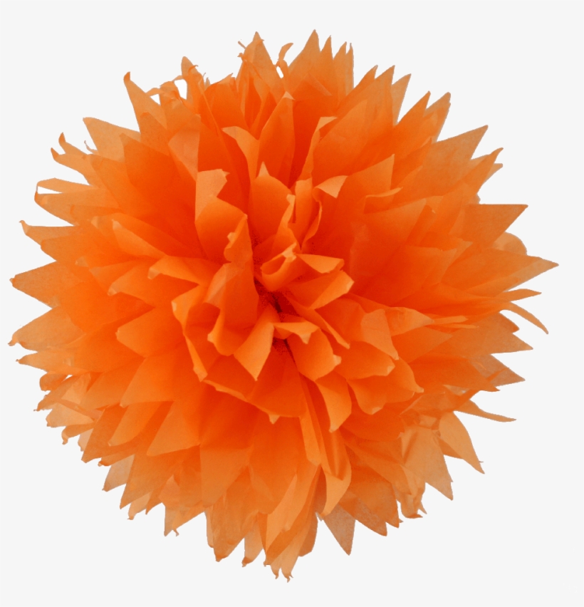 Orange Pom Pom Png, transparent png #745135