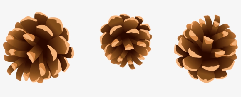 Pine Cones Png Gallery Yopriceville High Quality - Christmas Pine Cone Png, transparent png #745329