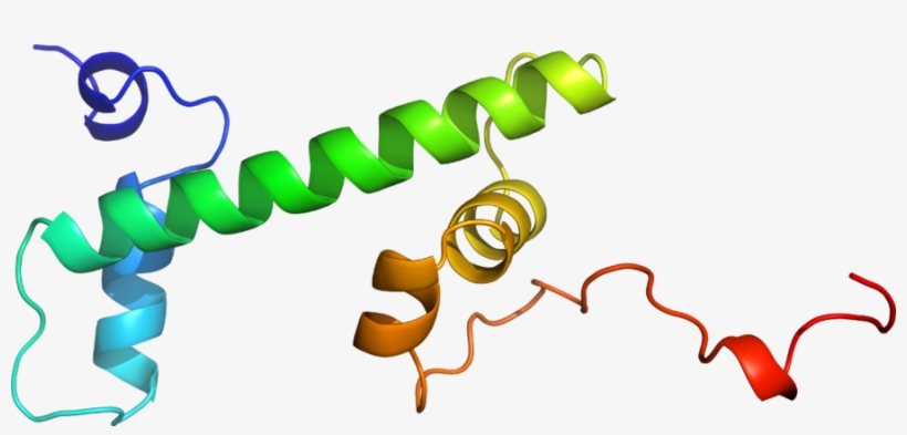 Graphic Design, transparent png #745401