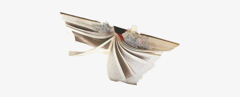 Book Png - Ring, transparent png #745606