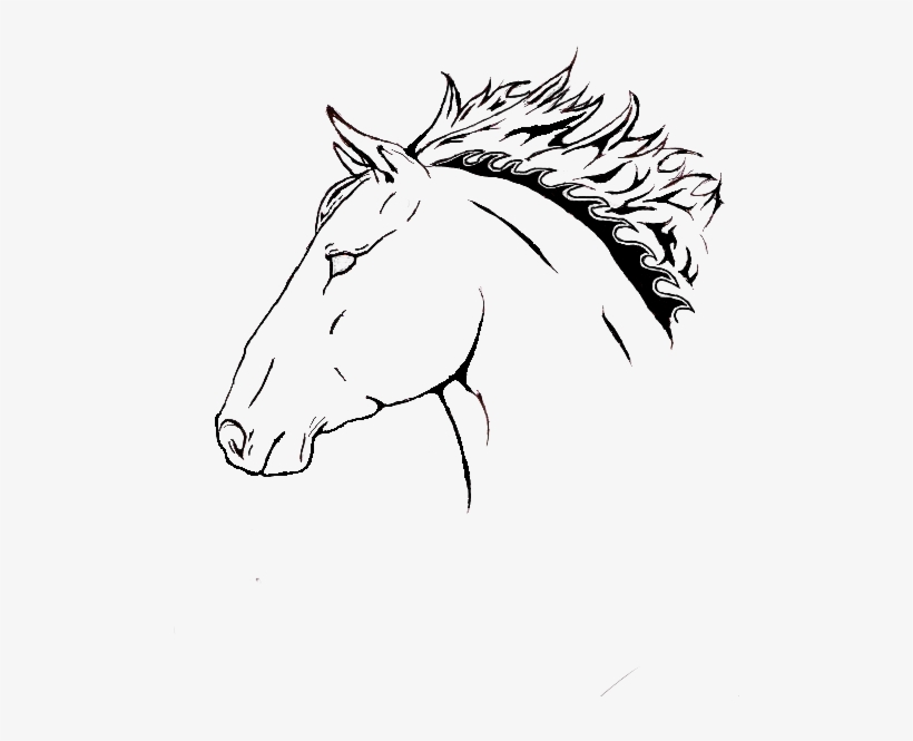 Horse Head Drawing Pictures At Getdrawings - Drawing, transparent png #745700