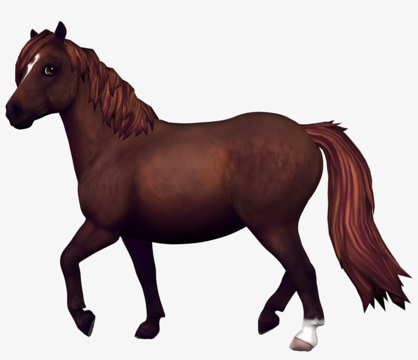 Fjord Horse - Sso New Jorvik Pony, transparent png #745729