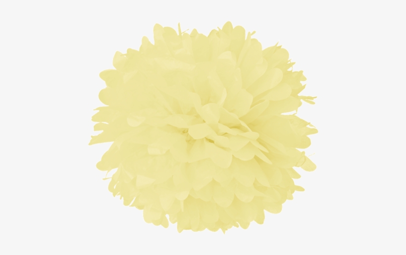 Ivory Tissue Pom Poms - Turquoise Blue 10 Inch Tissue Paper Flower Pom-pom, transparent png #746008