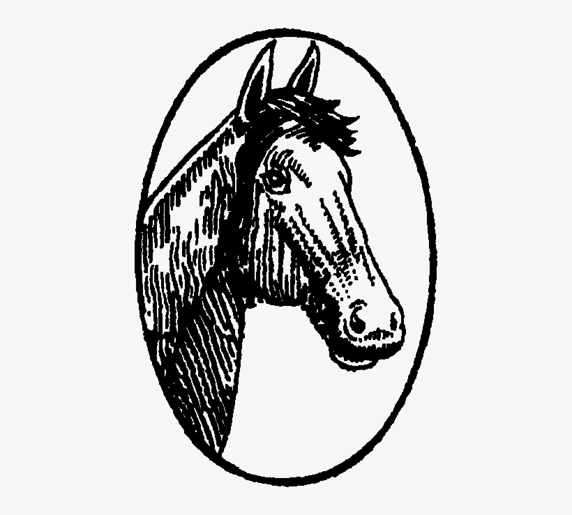 Mustang Horse, transparent png #746125