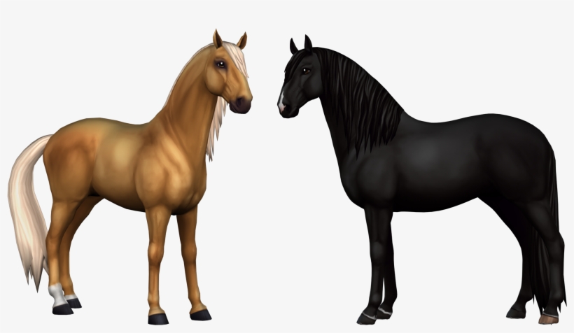Fjord Horse - Star Stable Horse Png, transparent png #746363