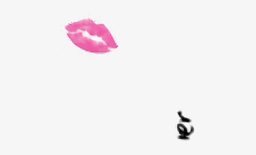 Tulip, transparent png #746707