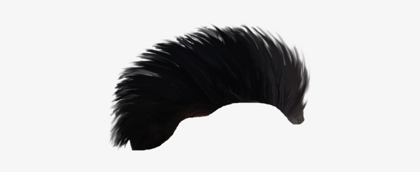 Cb Hair Png - Golden Eagle - Free Transparent PNG Download - PNGkey