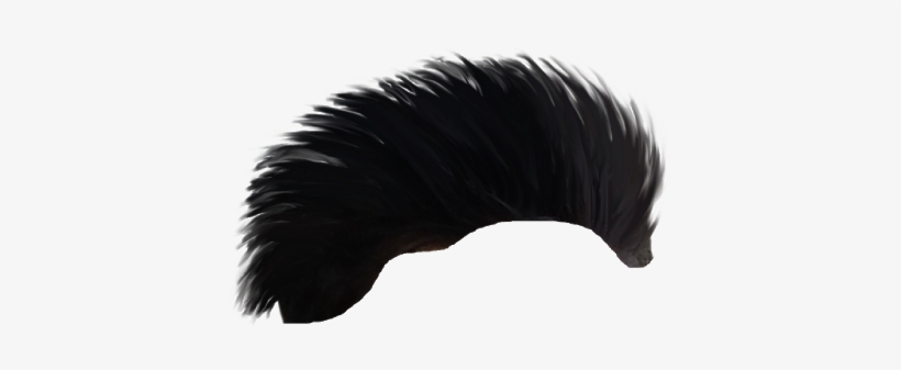 Cb Hair Png - Golden Eagle, transparent png #748085