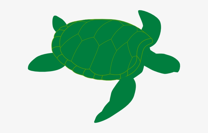 Sea Turtle Clipart - Green Sea Turtle Clip Art, transparent png #748086