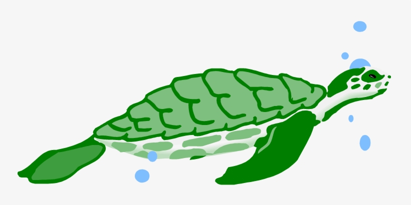 Turtles Clip Art - Turtle Water Clipart, transparent png #748205