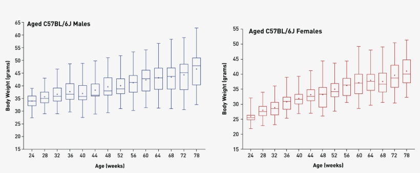 Mice Were Fed A Diet Containing 6% Fat - Survival Curve Gene Expression, transparent png #748280