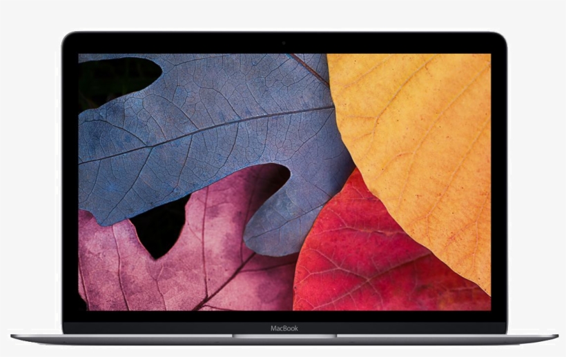 Macbook Rentals - Apple Macbook (retina, 12", 2017), transparent png #748926