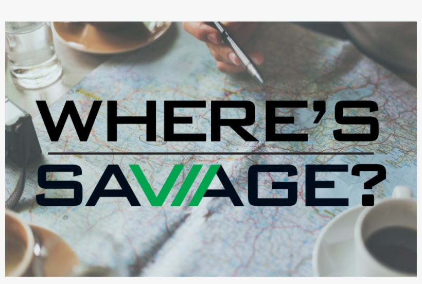 From La La Land To Winta Fest Savage, The Ultimate, transparent png #7401539