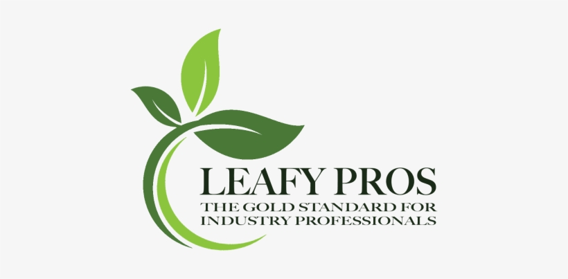 Leafy Face Png, transparent png #7402778