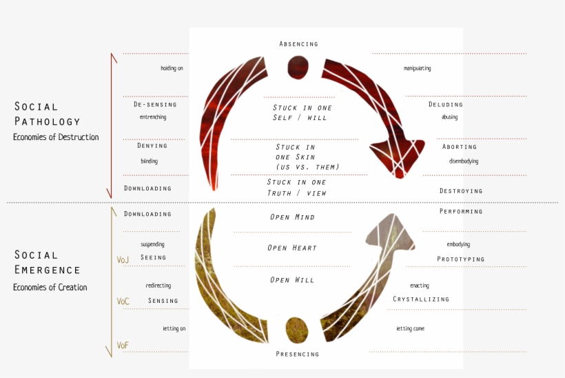 Illustration By Coline Robin Based On Theory U By Otto, transparent png #7404086