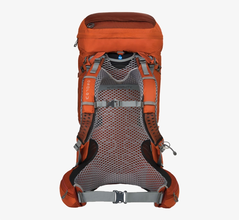 Atmos Back View, transparent png #7404477