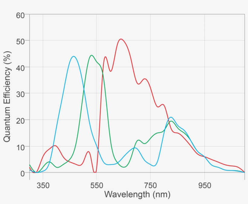 Osprey Rgb, transparent png #7405470
