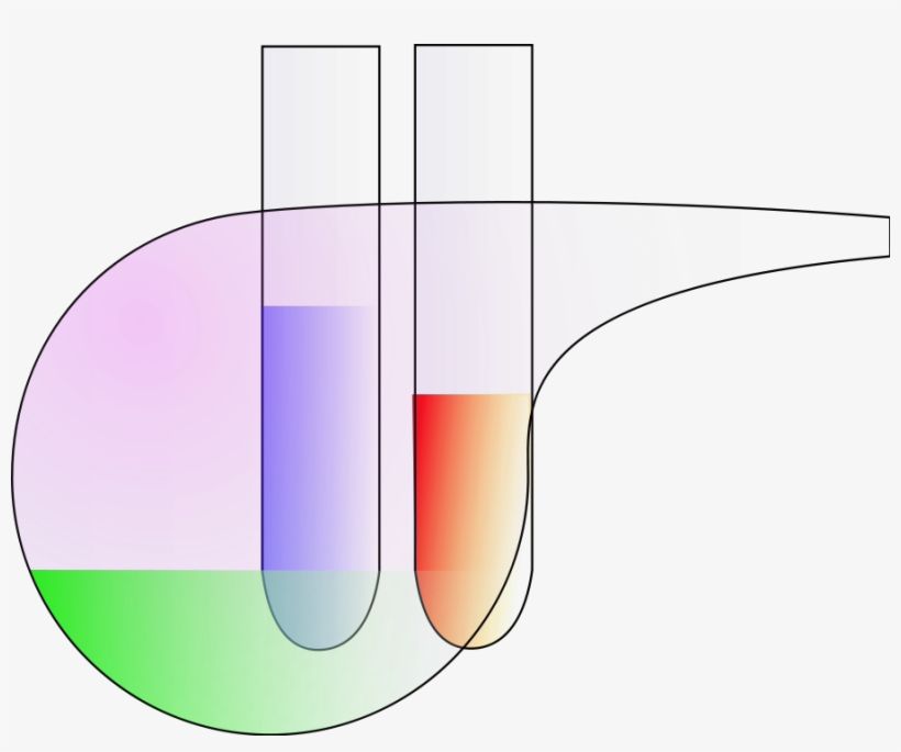 Test Tubes And Retorta Png, transparent png #7405511