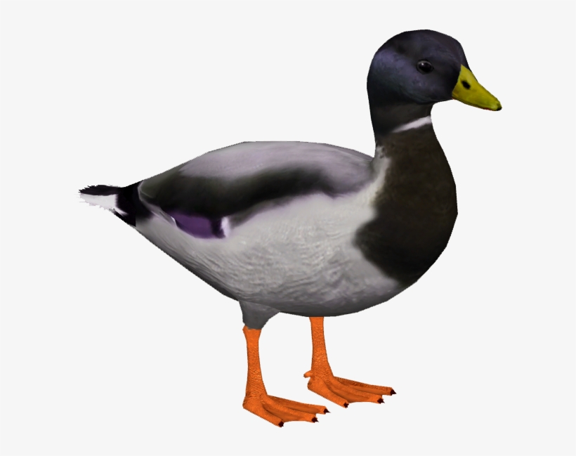 Mallard M4, transparent png #7405806