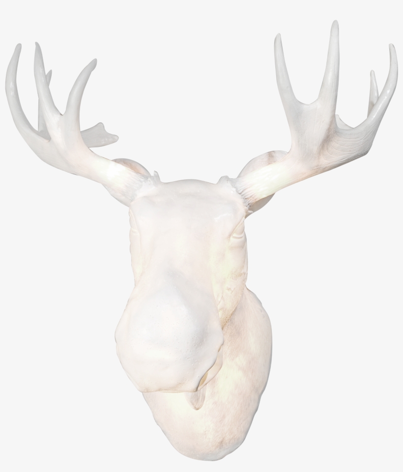 Hi-res - Png, transparent png #7406259