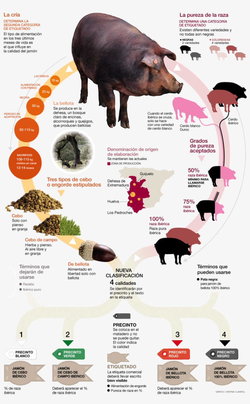 Juangabriel Garcia Gomez Ha Recomendado Esto, transparent png #7406724