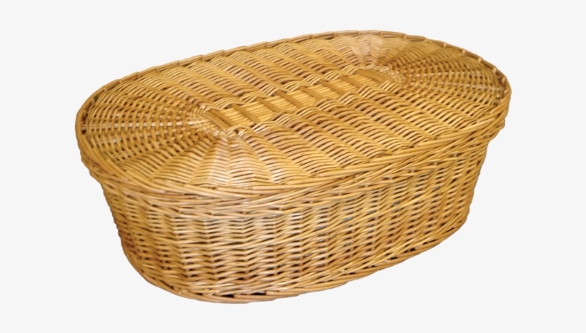 Willow Pet Casket, transparent png #7407500